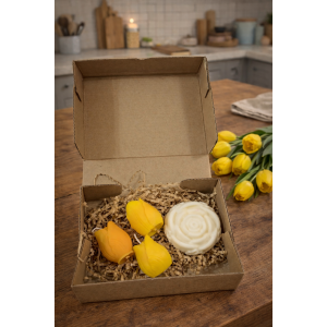 Giardino di Tulipani